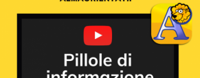 Orientarsi con i test online di AlmaOrientati Orientarsi con i test online di AlmaOrientati