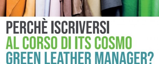ITS GREEN LEATHER MANAGER ITS GREEN LEATHER MANAGER