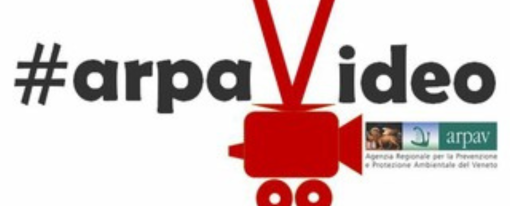 Concorso #arpaVideo 2023 per le Scuole Secondarie di II grado e i giovani del Veneto Concorso #arpaVideo 2023 per le Scuole Secondarie di II grado e i giovani del Veneto