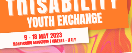 ThisABILITY – Scambio Giovanile Internazionale a Montecchio ThisABILITY – Scambio Giovanile Internazionale a Montecchio